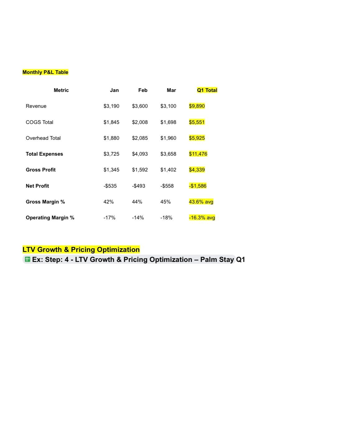 Virtual CFO + Strategic Operator (VIP Plan)